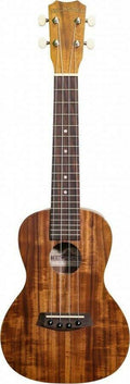 Acacia Top Concert Ukulele M946761