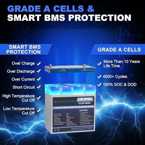 12V 100Ah BCI Group 24 LiFePO4 Battery with Low-Temp Protection X3265