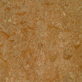 Marmoleum Click Cinch LOC 12x22 x 36x22 U623349