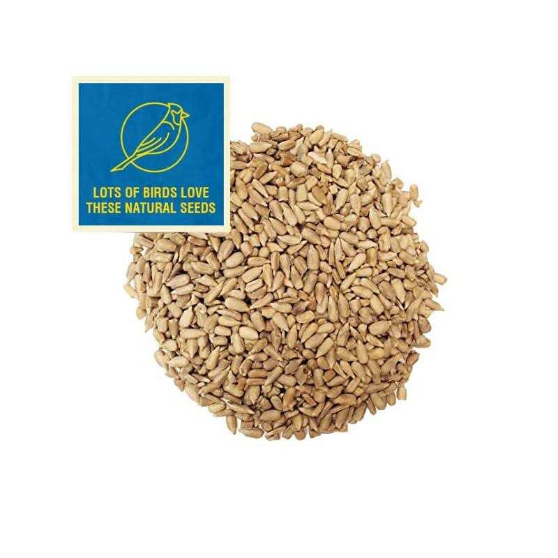 Sunflower Coarse Hearts Bird Seed A40424