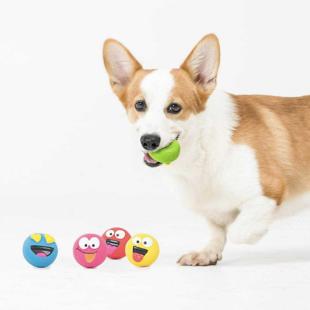 Playful Buddy Dog Toys W221