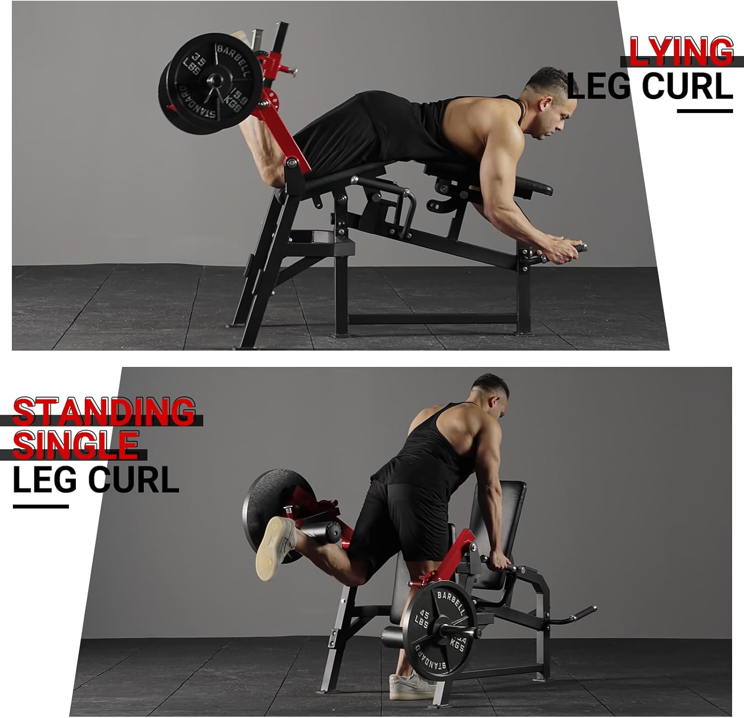 Adjustable Leg Extension and Curl Machine K552