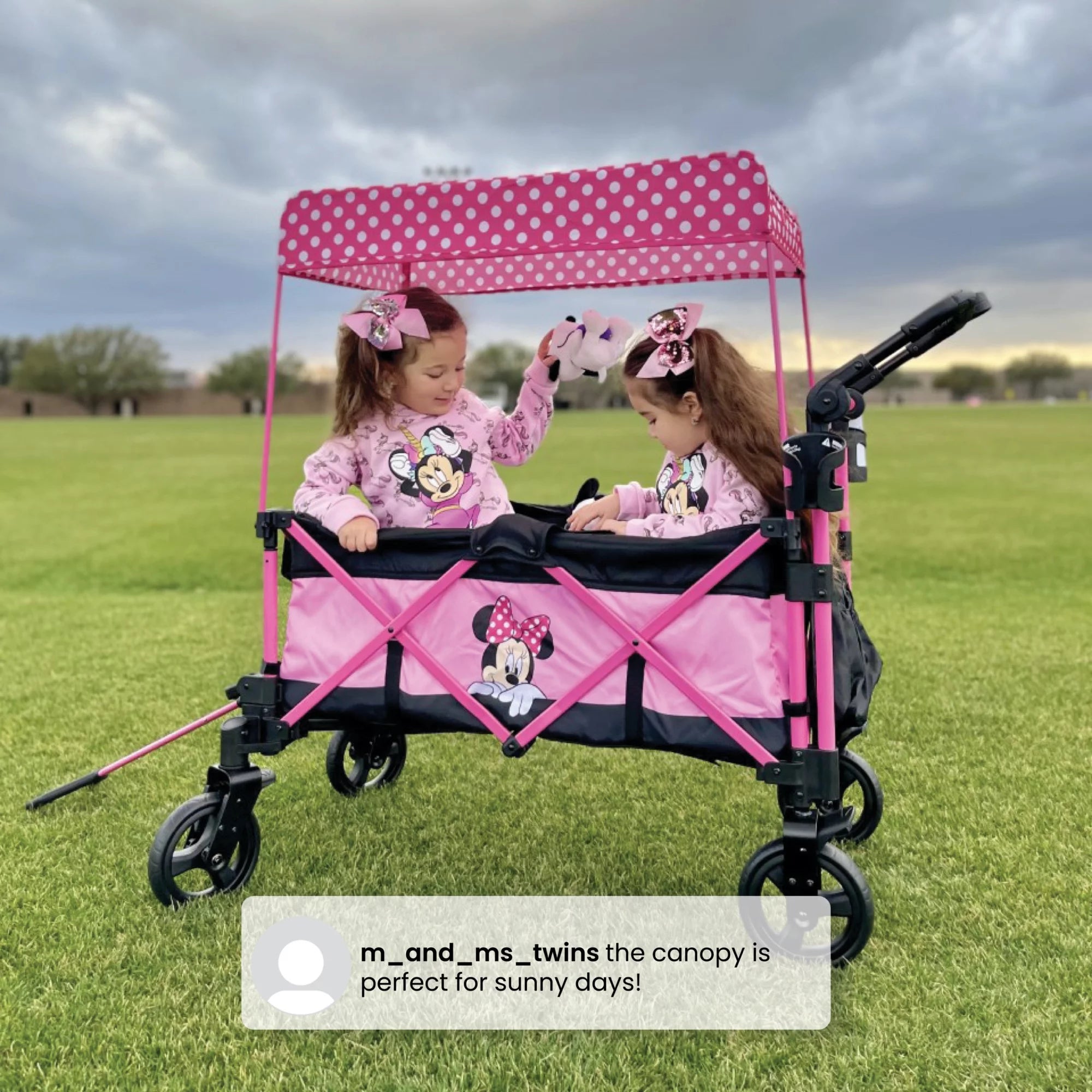 Stroller Wagon V795