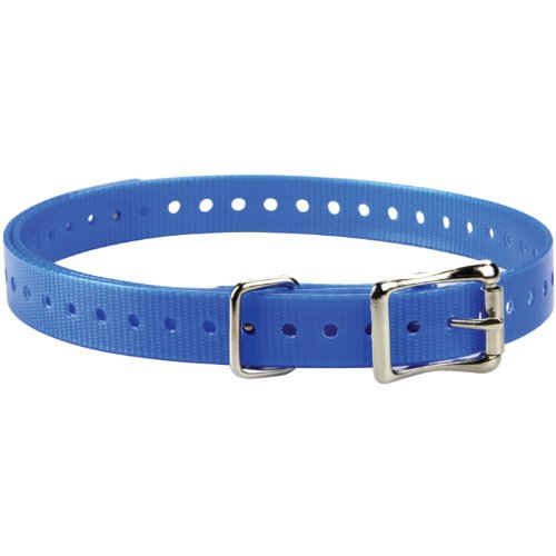 Rechargeable Dog Training Collar N765765