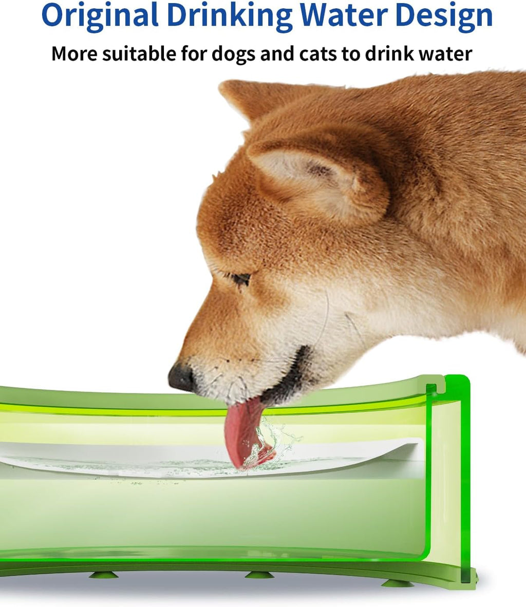 Green 2L No Spill Dog Water Bowl J62736