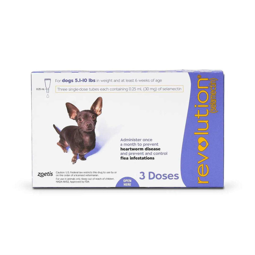 Revolution for Puppies & Kittens G986697