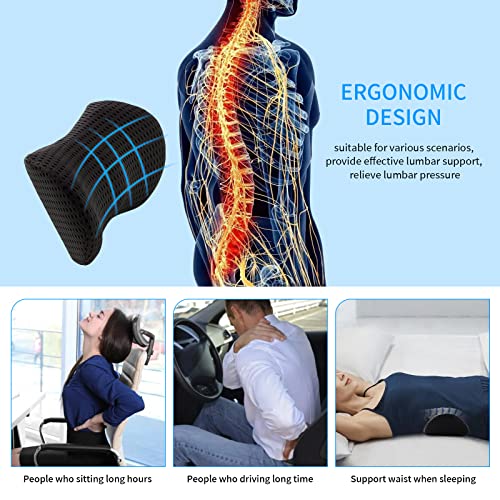 Memory Foam Lumbar Support Pillow Z44361