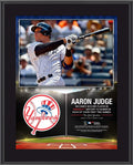 10.5" x 13" Sublimated Plaque P486