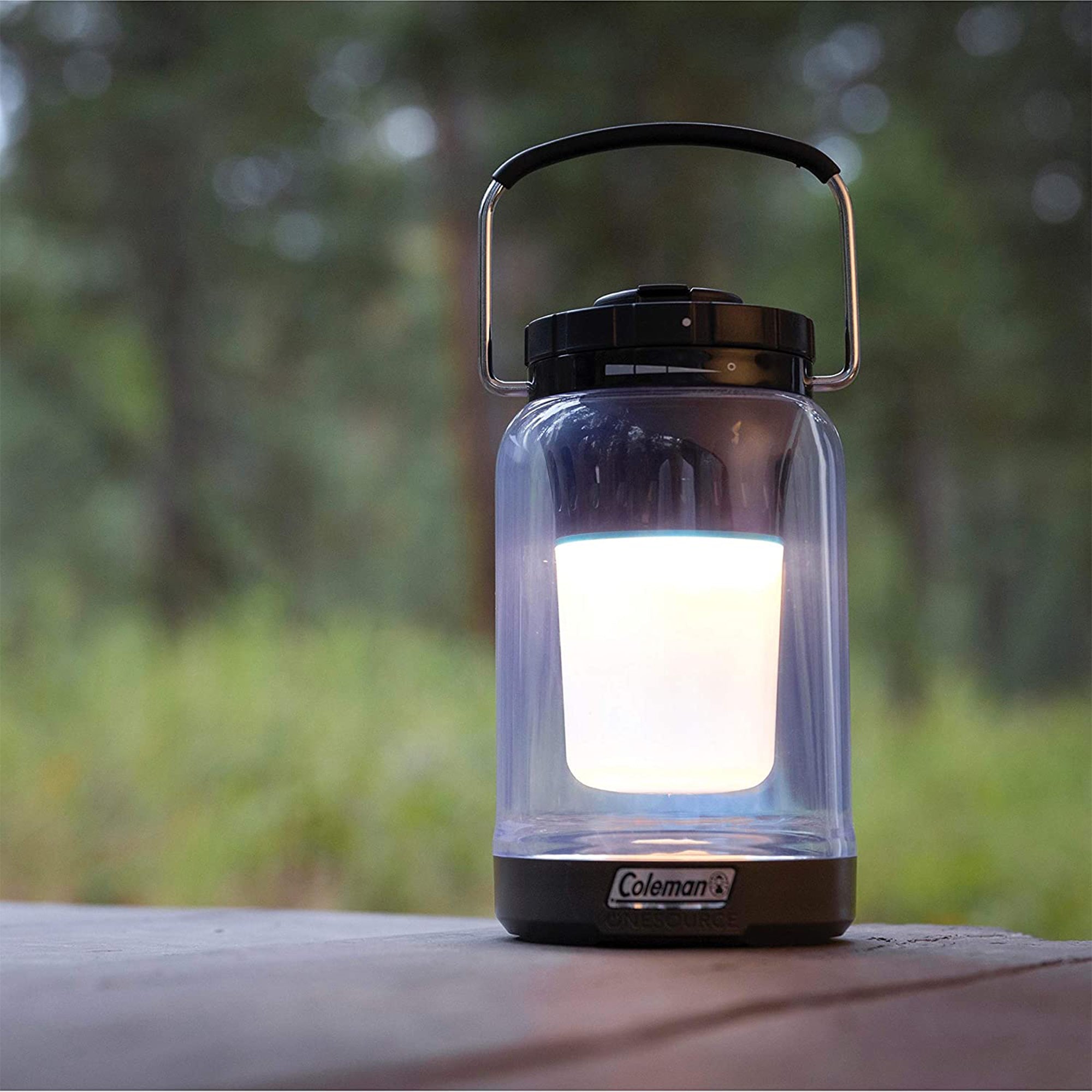 600 Lumens Outdoor Lantern (2 Pack) S9219