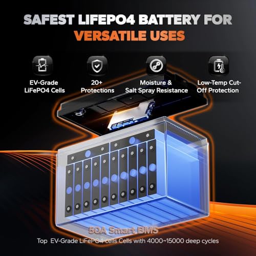 36V 50Ah LiFePO4 Battery with 43.8V 25A Charger Z66693
