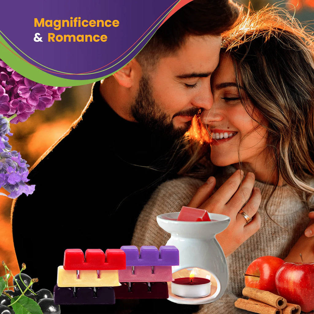 Variety Collection Scented Wax Melts B439