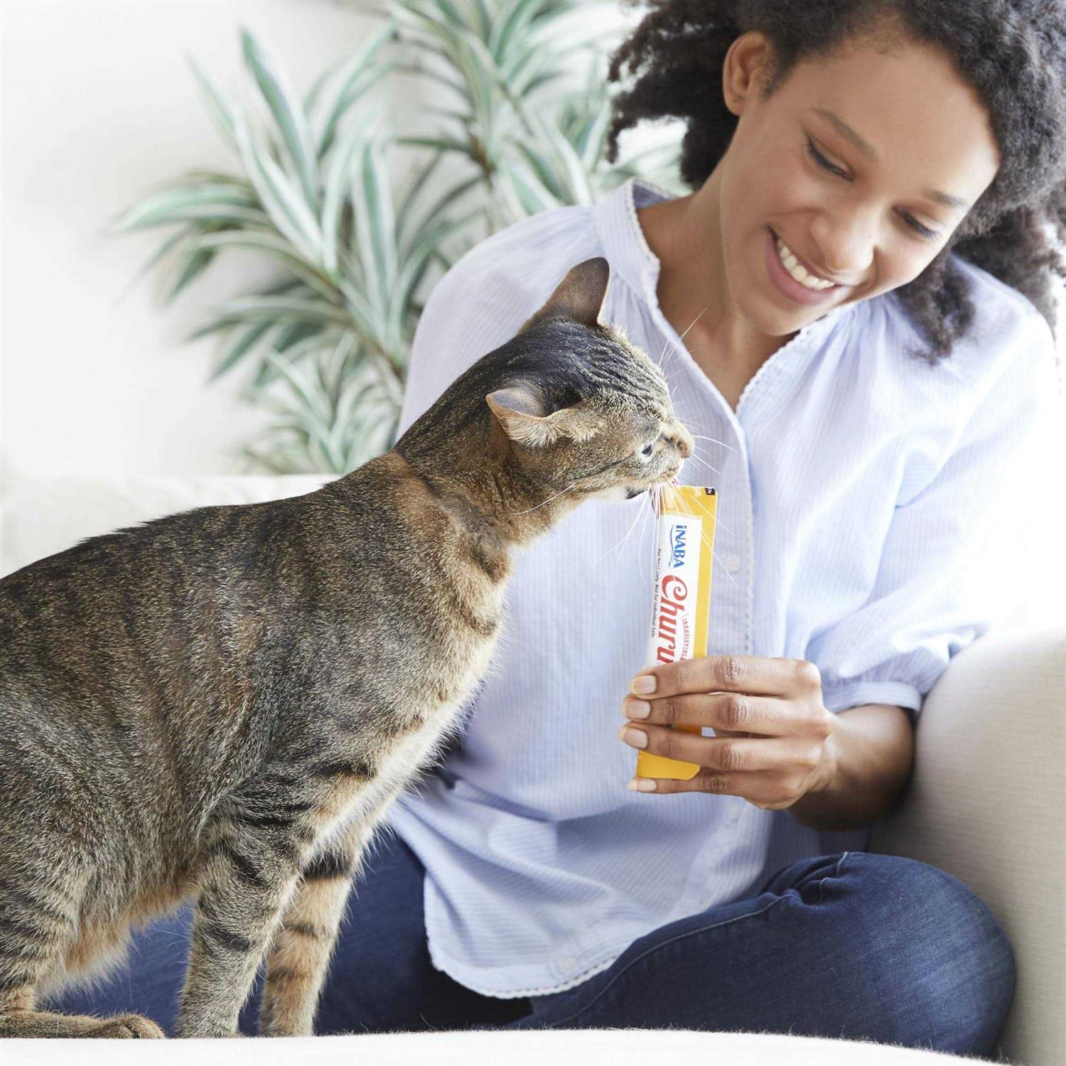Tuna Seafood Cat Treats Variety Box P9463