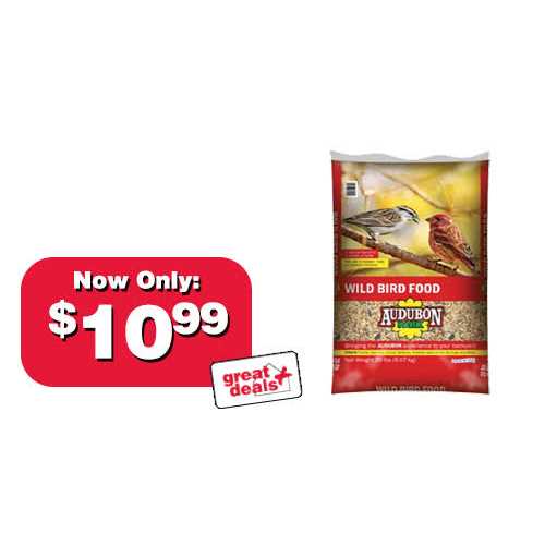 Wild Bird Food T41273