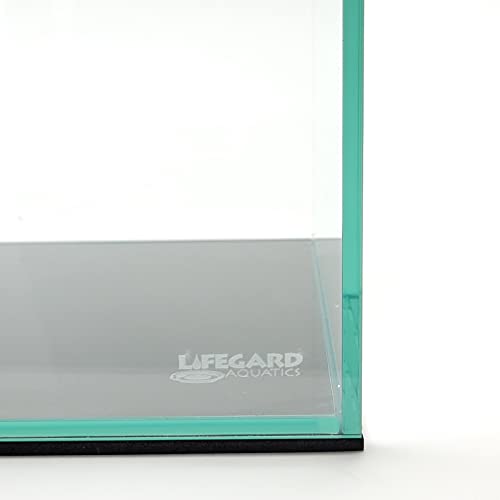 5 Gallon Rimless Clear Glass Aquarium 5mm Thick Glass N676045