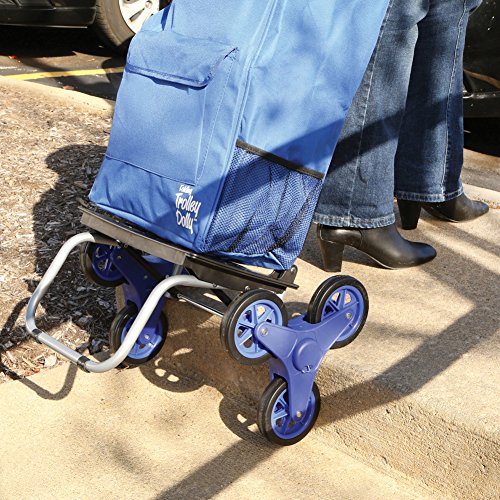 Blue Folding Grocery Cart with 3 Wheels R6036