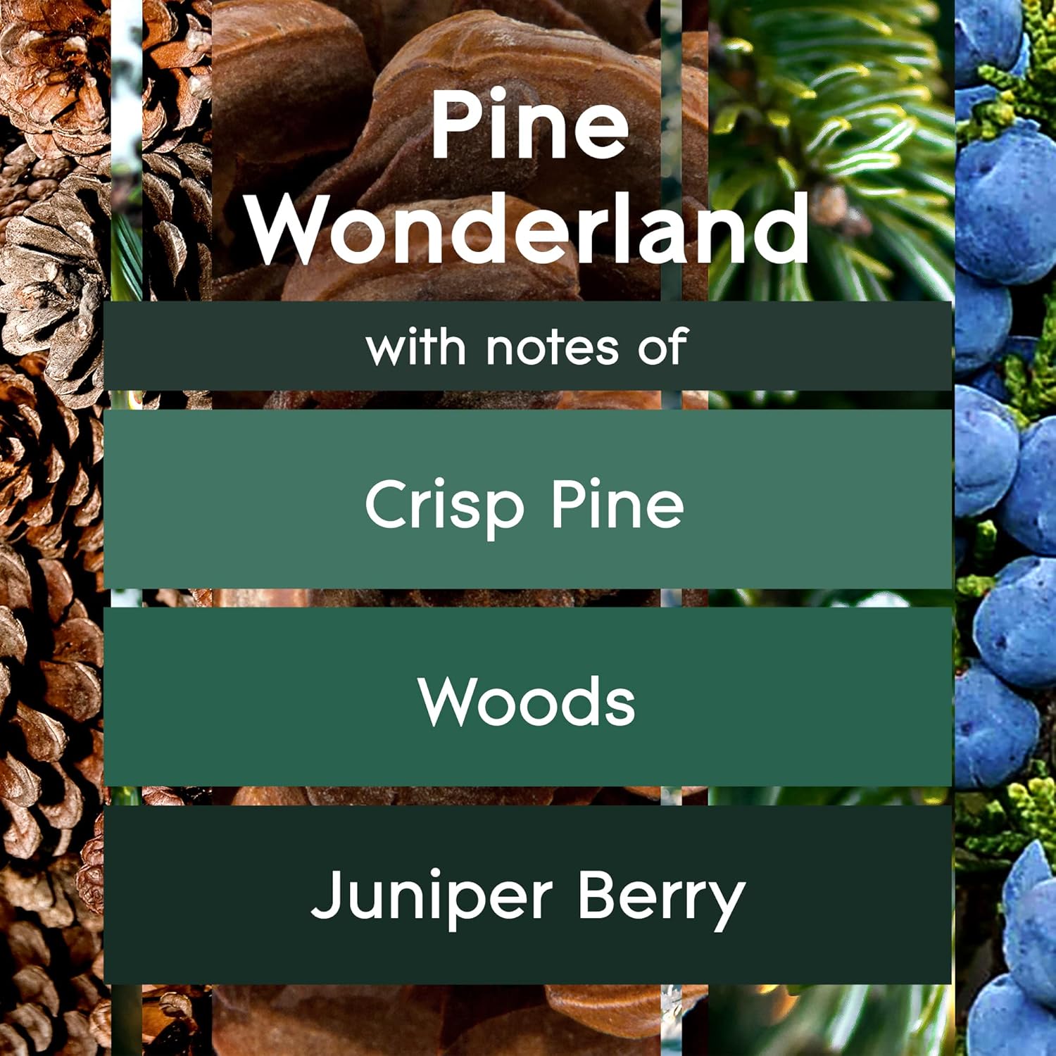 Pine Wonderland 6.2 Oz 2 Count Automatic Spray Refill Z1589