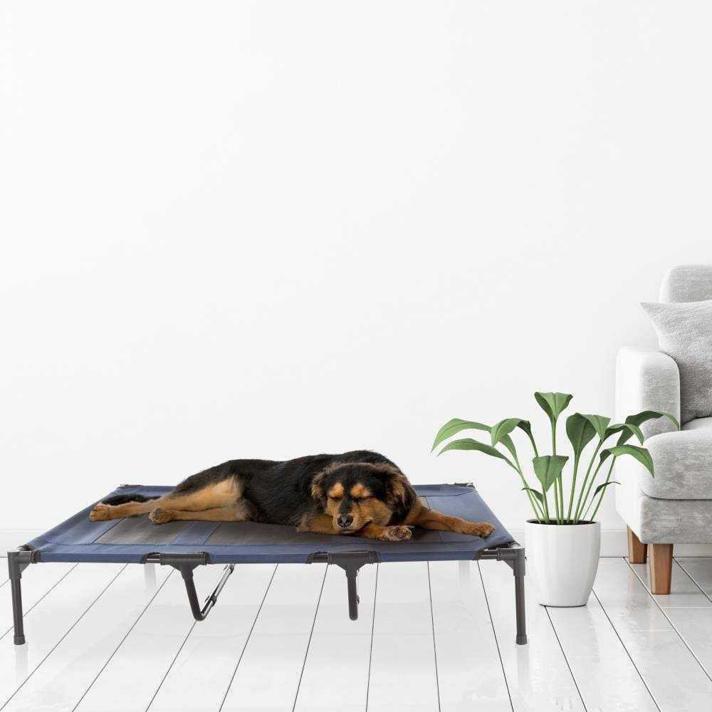 Elevated Pet Bed I602943