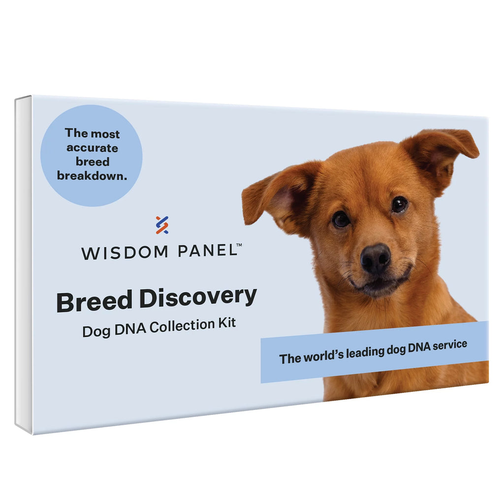DNA Test Kit H153498