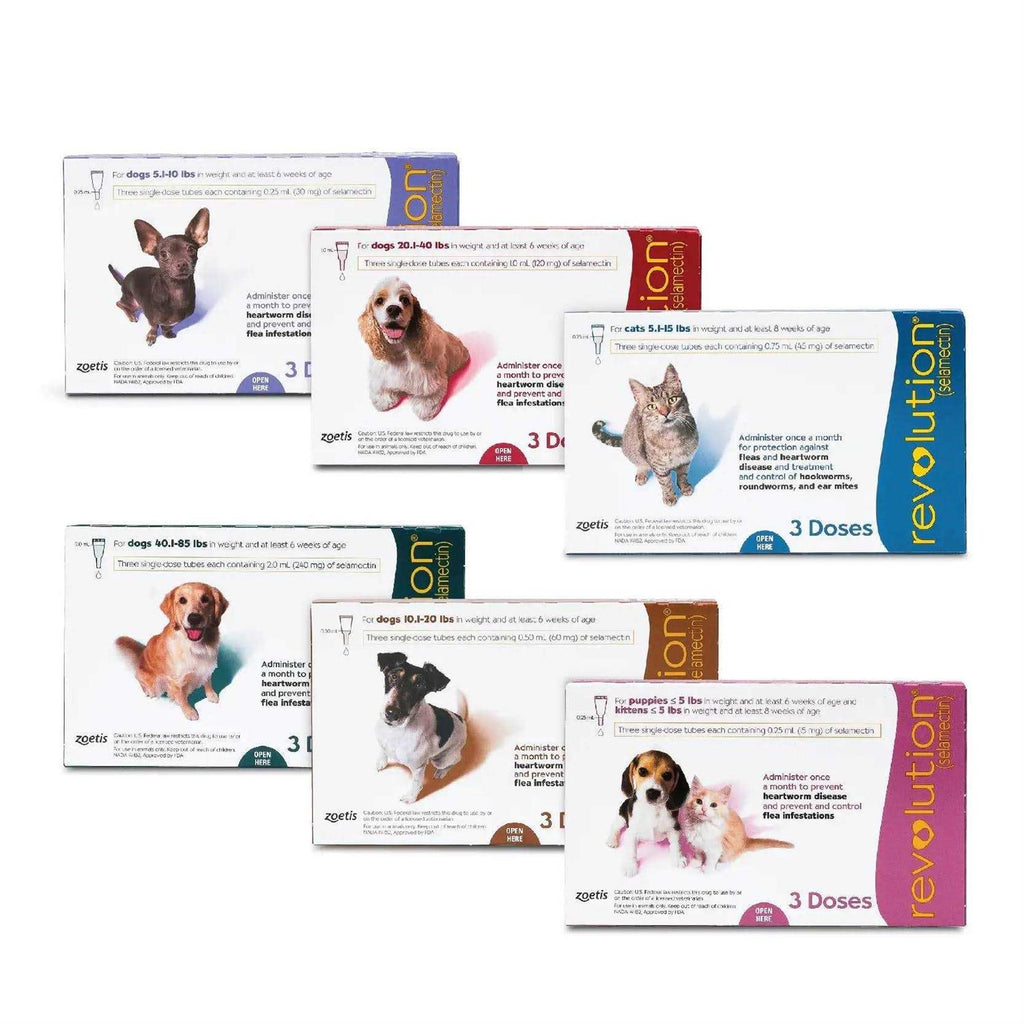 Revolution for Puppies & Kittens G986697