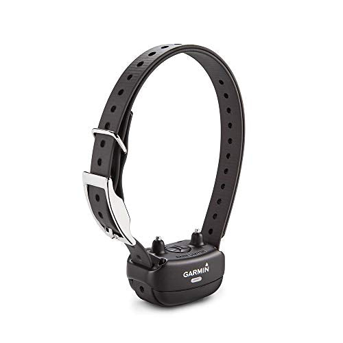 Rechargeable Dog Training Collar N765765