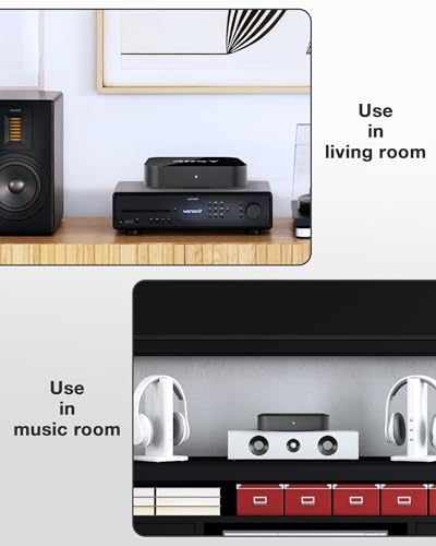 Streaming Music Receiver N59165