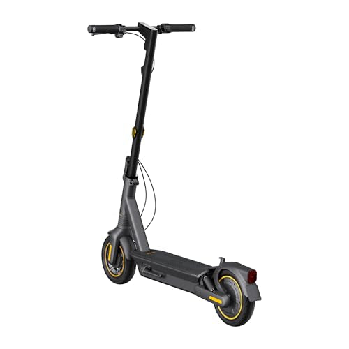 Electric Kick Scooter with Dual Suspension T734