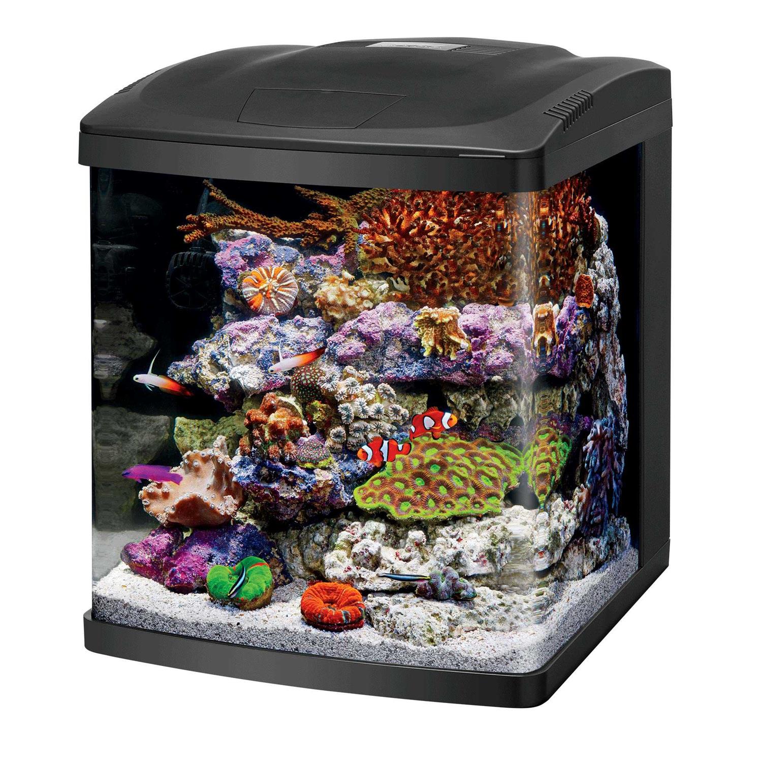 16 Gallon LED Aquarium Fish Tank Kit F117222