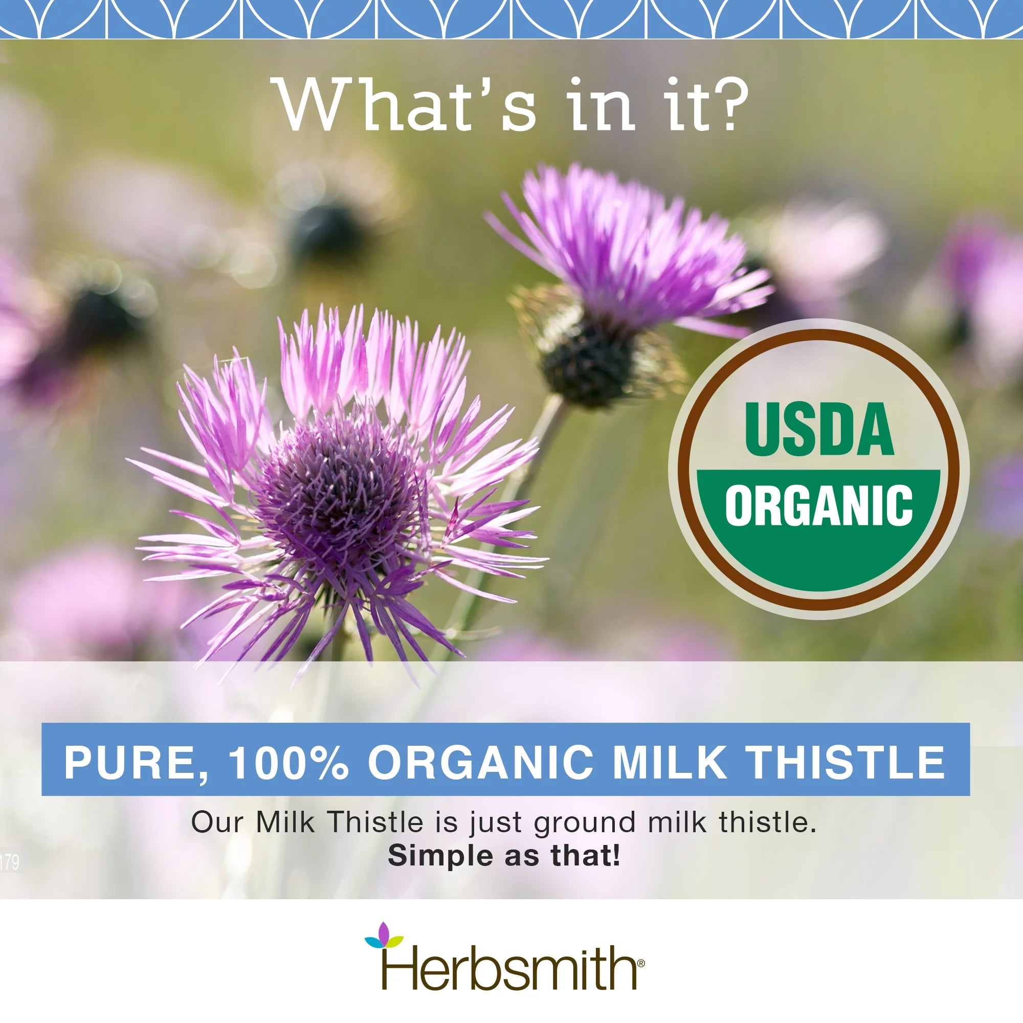Organic Milk Thistle Powder 500g J481