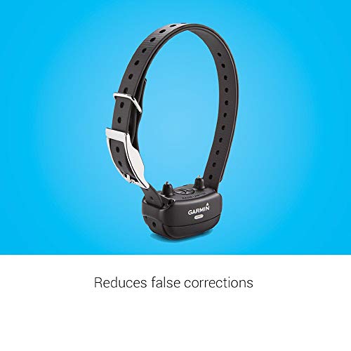 Rechargeable Dog Training Collar N765765