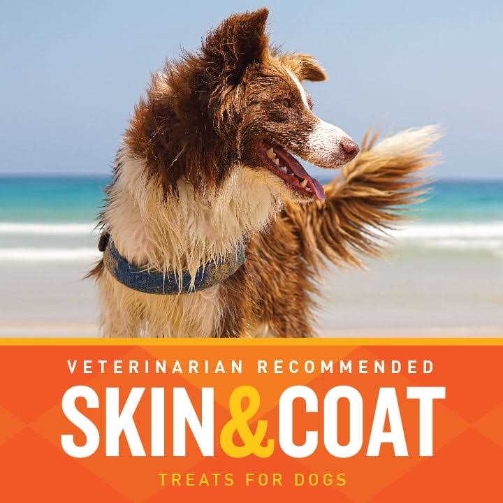 Skin & Coat Soft Chews E788