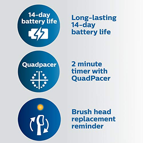 White Rechargeable Electric Toothbrush T2213