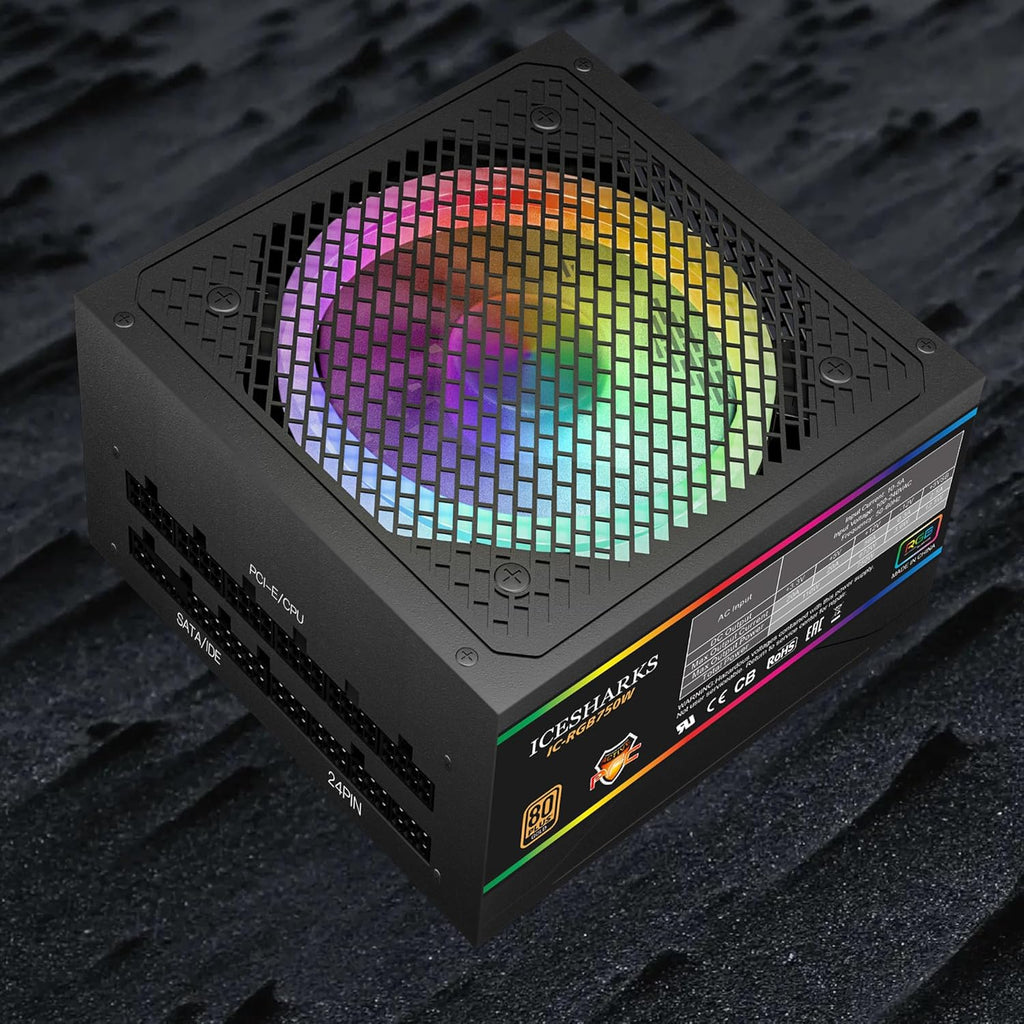 80+ Gold 750 Watt ATX Fully Modular Power Supply L73667