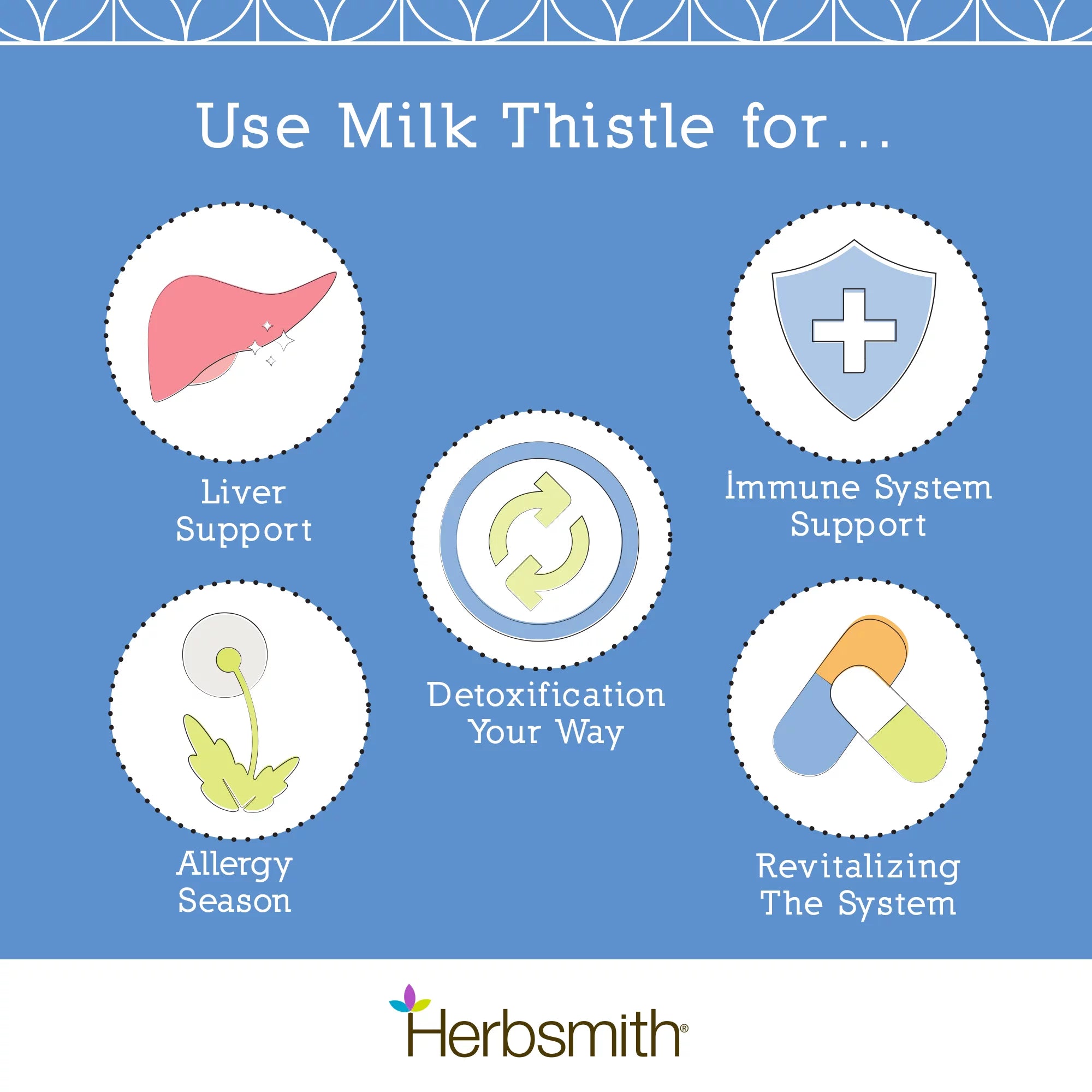 Organic Milk Thistle Powder 500g J481