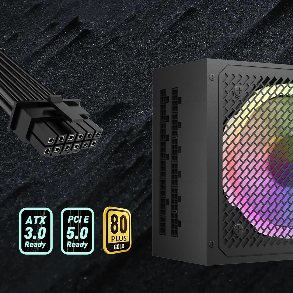80+ Gold 750 Watt ATX Fully Modular Power Supply L73667